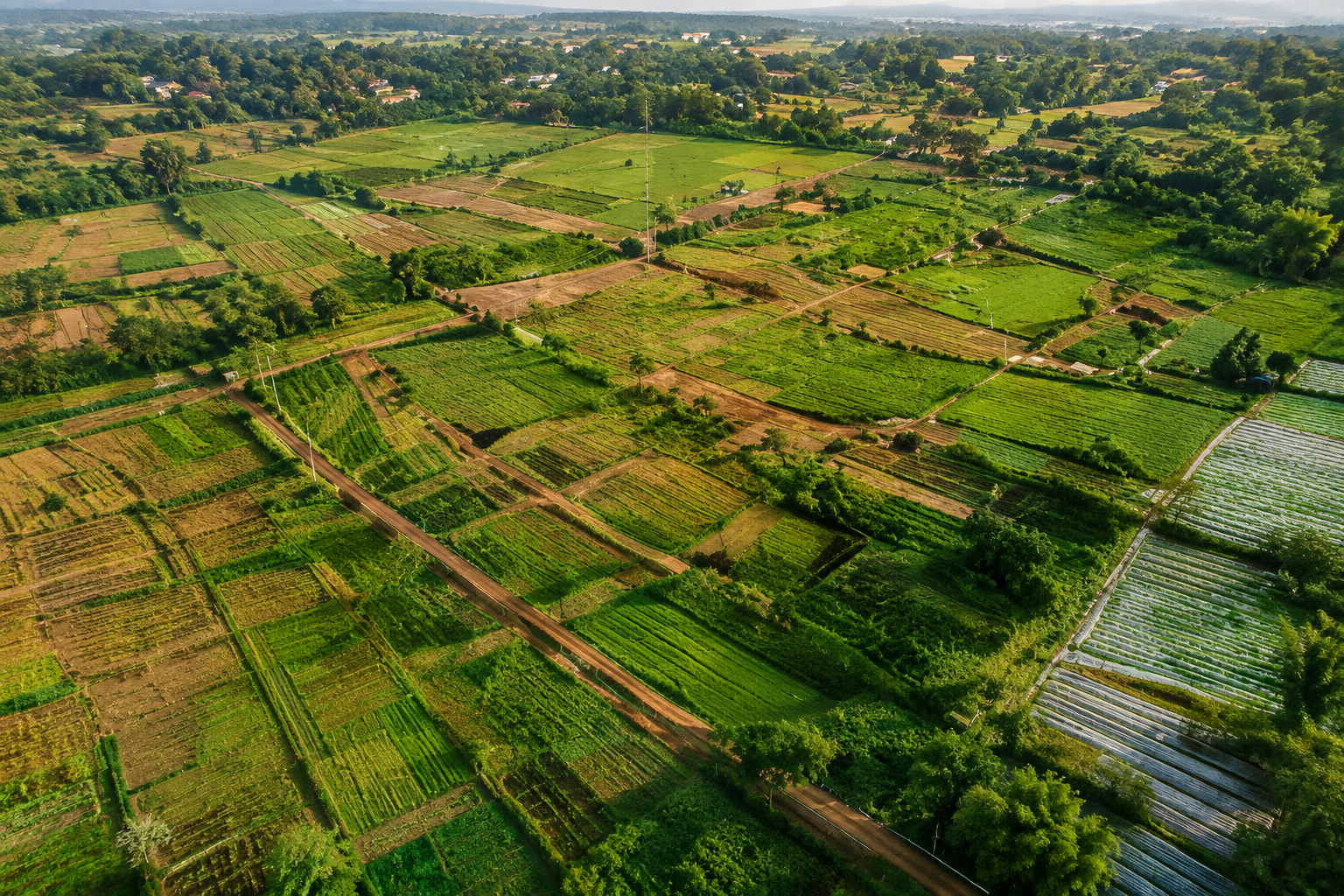 Farm lands